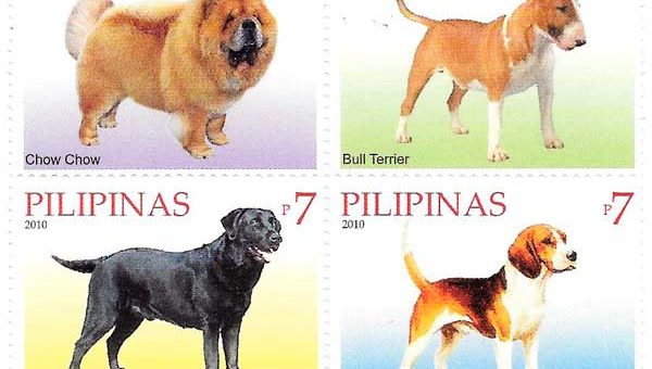 sellos de distintas razas, entre ellas el Bull Terrier