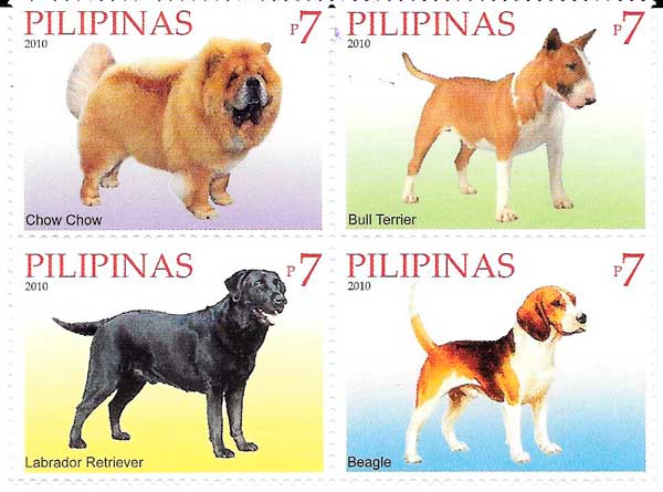 raza de perros, entre ellos el Bull Terrier de Filipinas