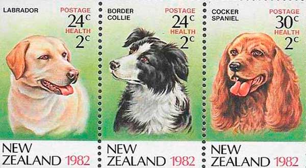 canes de distintas razas de Nueva Zelanda.