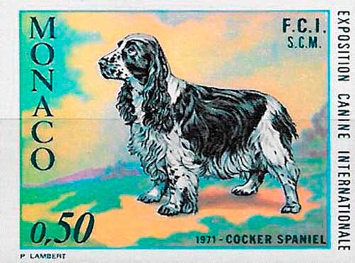 raza de perro Cockel Spaniel de Monaco